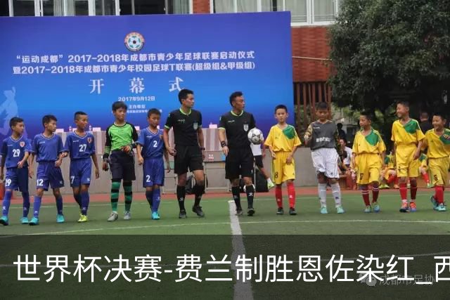 世界杯决赛-费兰制胜恩佐染红 西班牙加时1-0阿根廷夺冠