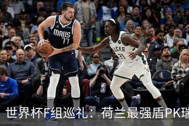 世界杯F组巡礼：荷兰最强盾PK瑞典犀利刀 日本短板明显