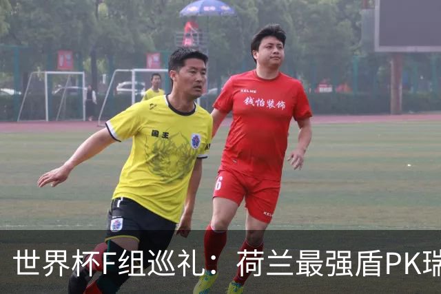 世界杯F组巡礼：荷兰最强盾PK瑞典犀利刀 日本短板明显