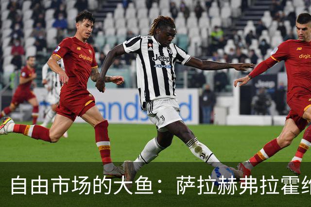 自由市场的大鱼：萨拉赫弗拉霍维奇在列 桑乔或再回多特