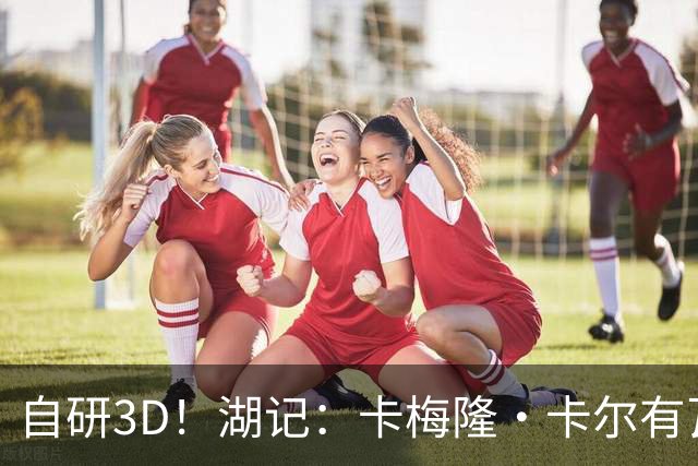 自研3D！湖记：卡梅隆·卡尔有瓦塞尔或者缩小版墨菲的感觉