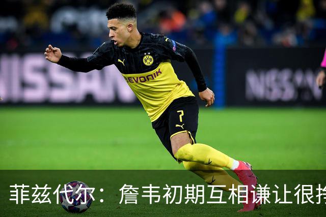 菲兹代尔：詹韦初期互相谦让很挣扎 因纠结最后一投还输过些比赛