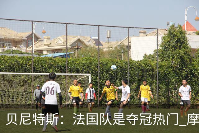 贝尼特斯：法国队是夺冠热门 摩洛哥、挪威、塞内加尔有黑马潜质