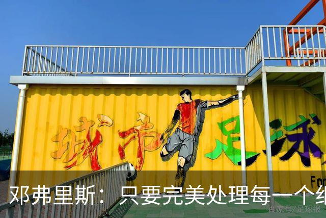 邓弗里斯：只要完美处理每一个细节，荷兰就有机会争夺世界杯冠军